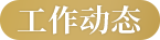 工作动态