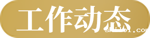 工作动态